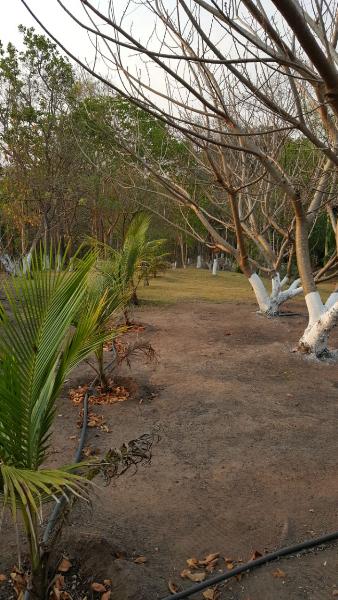 Fazenda à venda - Foto 48