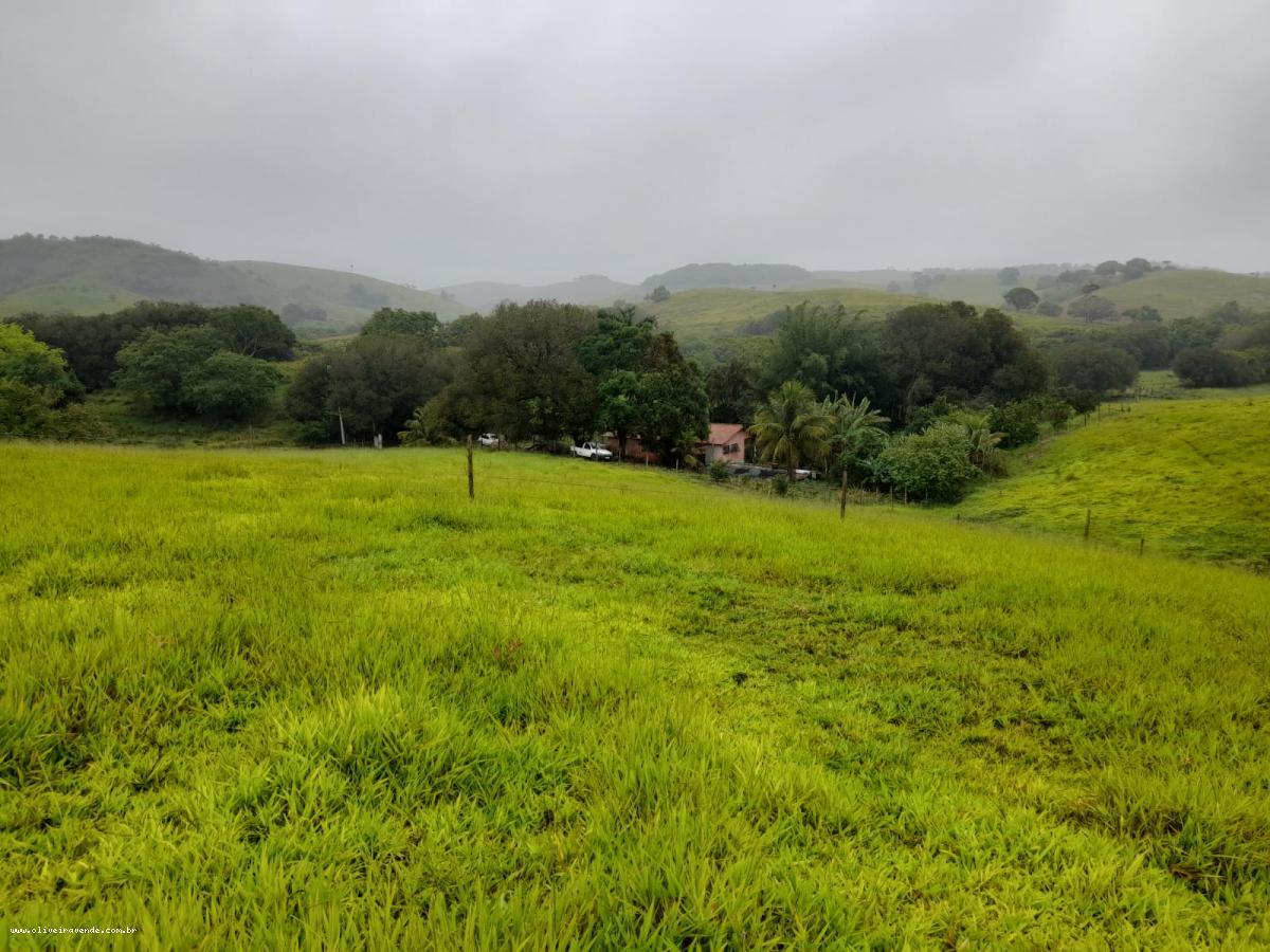 Fazenda à venda com 2 quartos, 61000m² - Foto 21