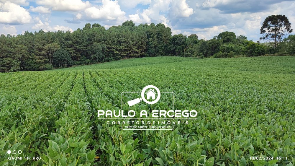 Sítio, 12 hectares - Foto 5