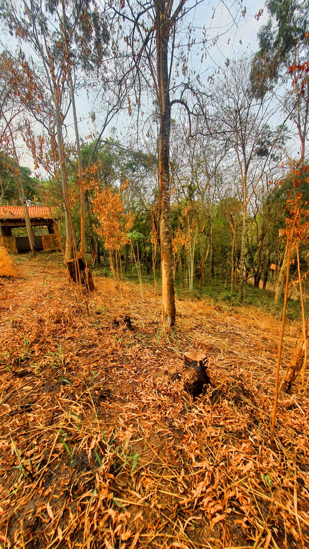 Terreno à venda, 713m² - Foto 14