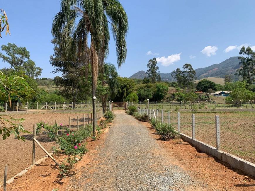 Sítio à venda com 4 quartos, 45m² - Foto 8