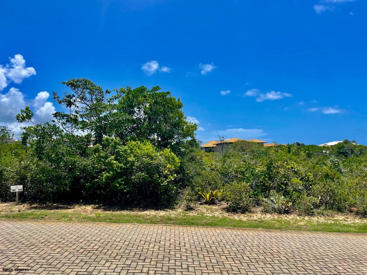 Terreno à venda, 800m² - Foto 7