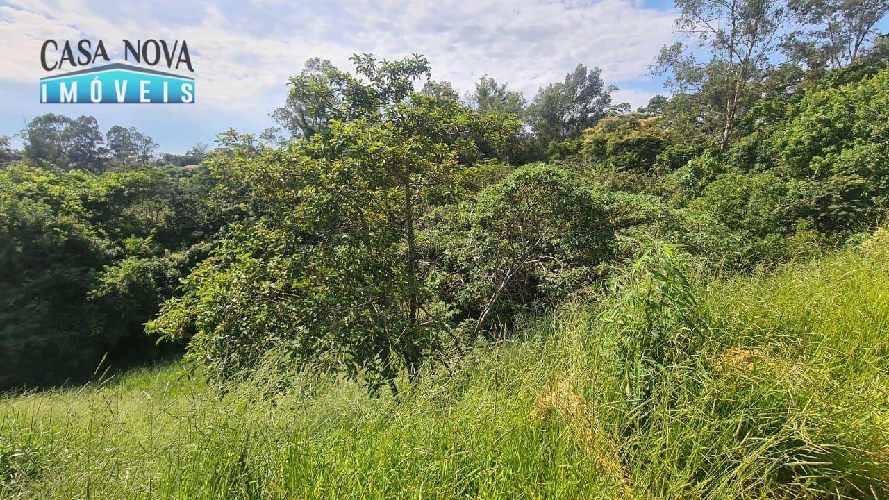 Loteamento e Condomínio à venda, 1650M2 - Foto 4