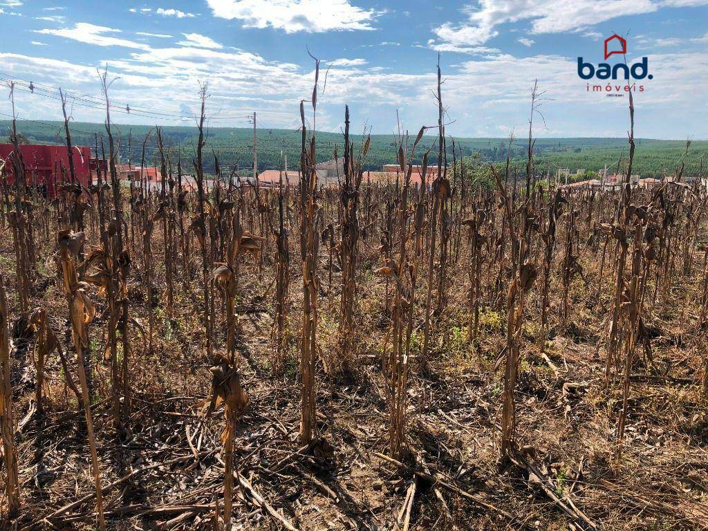 Terreno à venda, 5000M2 - Foto 5