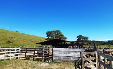 Fazenda à venda com 2 quartos, 210000m² - Foto 6