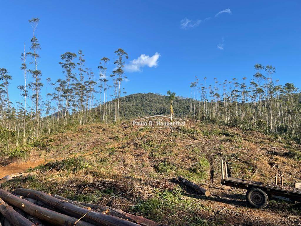 Terreno, 30 hectares - Foto 2