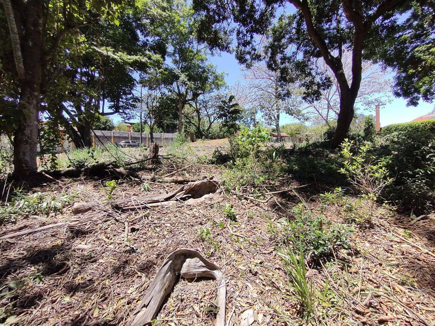 Loteamento e Condomínio à venda, 1178M2 - Foto 8