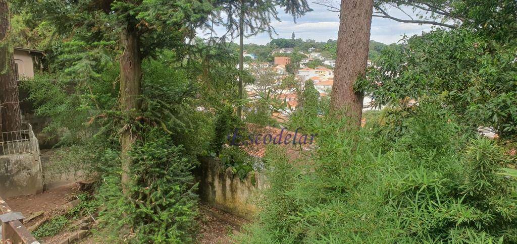 Terreno à venda, 1300M2 - Foto 3