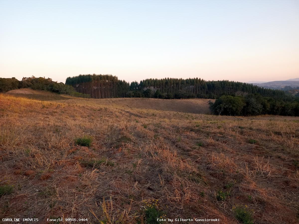 Sítio à venda com 3 quartos, 586000m² - Foto 29