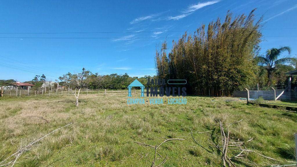 Sítio, 4 quartos, 4000 m² - Foto 5