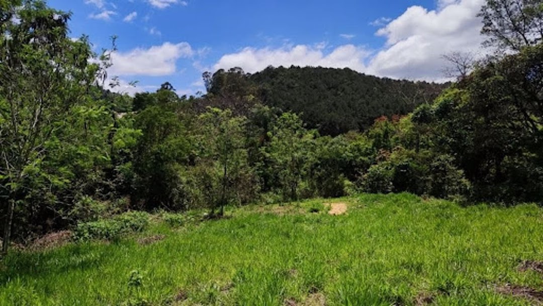 Terreno à venda, 2600M2 - Foto 8