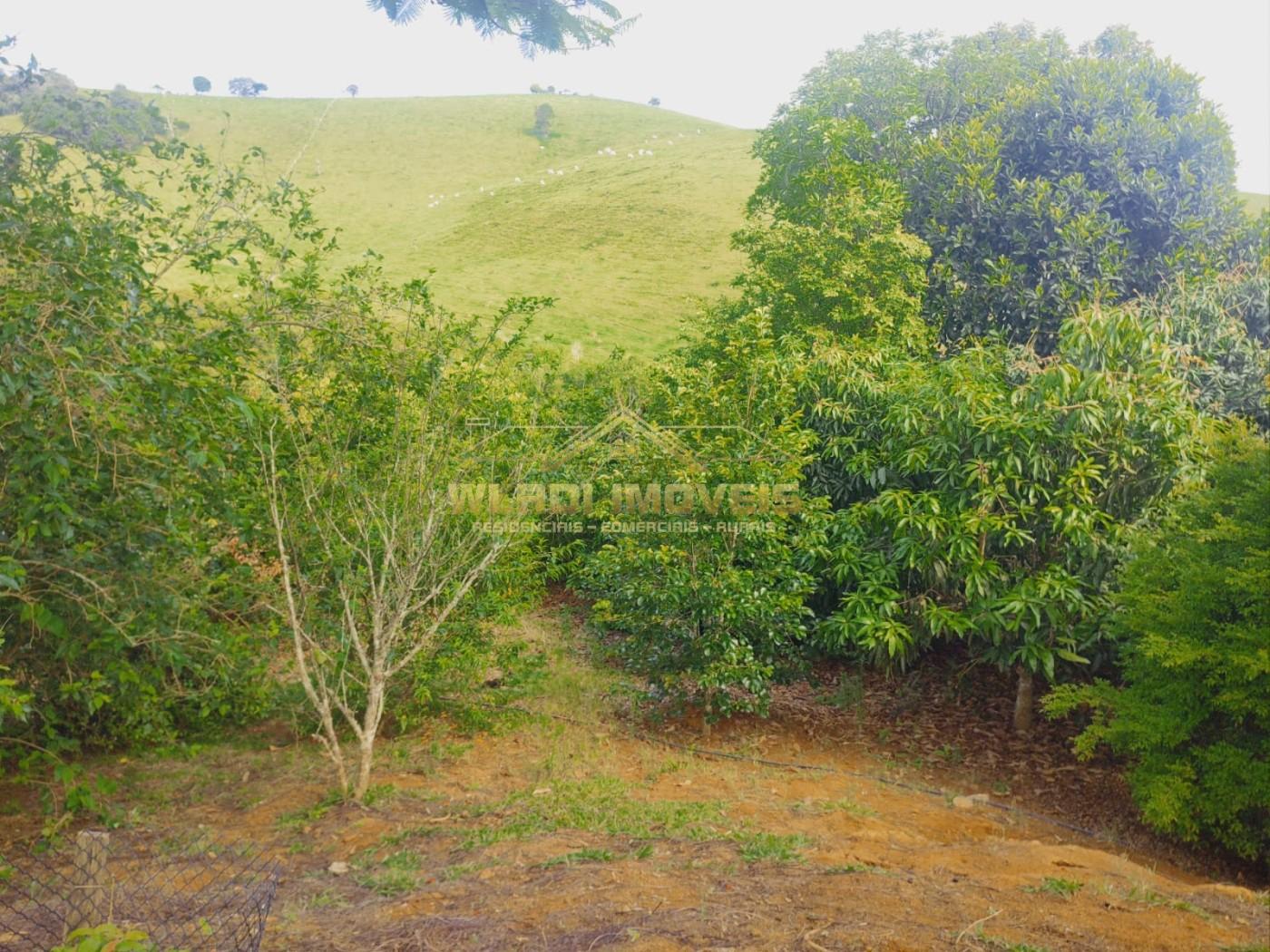 Chácara à venda, 12100m² - Foto 18