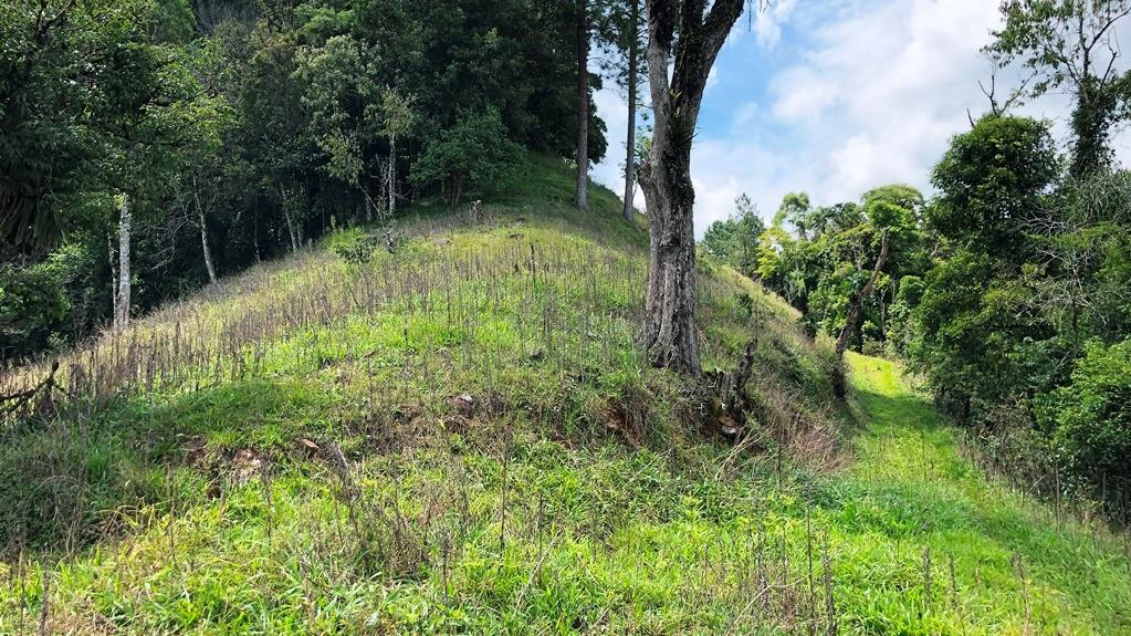 Sítio à venda com 2 quartos, 37800m² - Foto 27