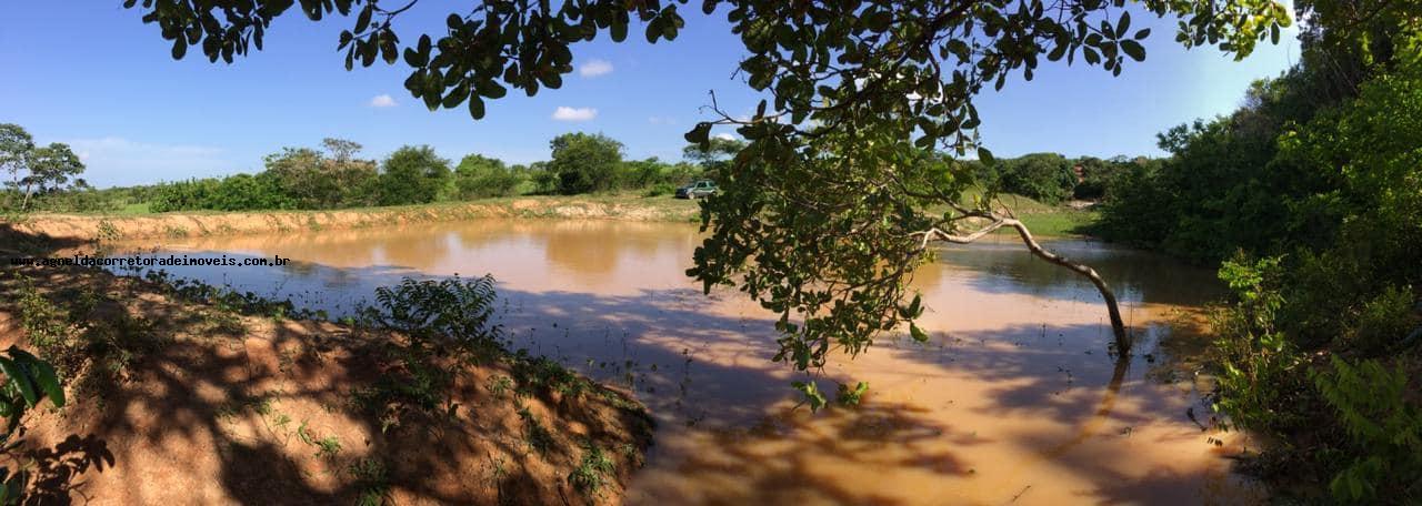 Fazenda à venda com 3 quartos, 13m² - Foto 6