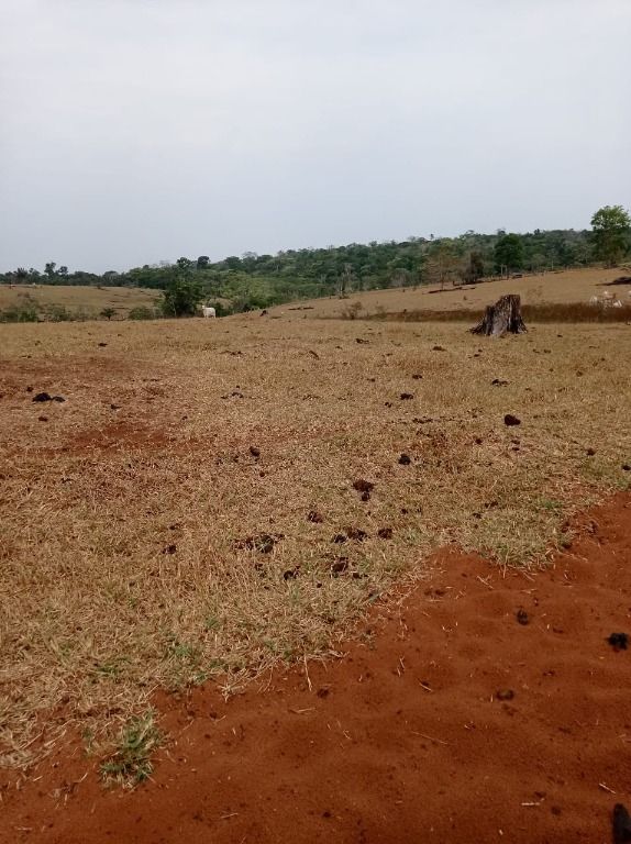 Fazenda à venda, 41140000M2 - Foto 26