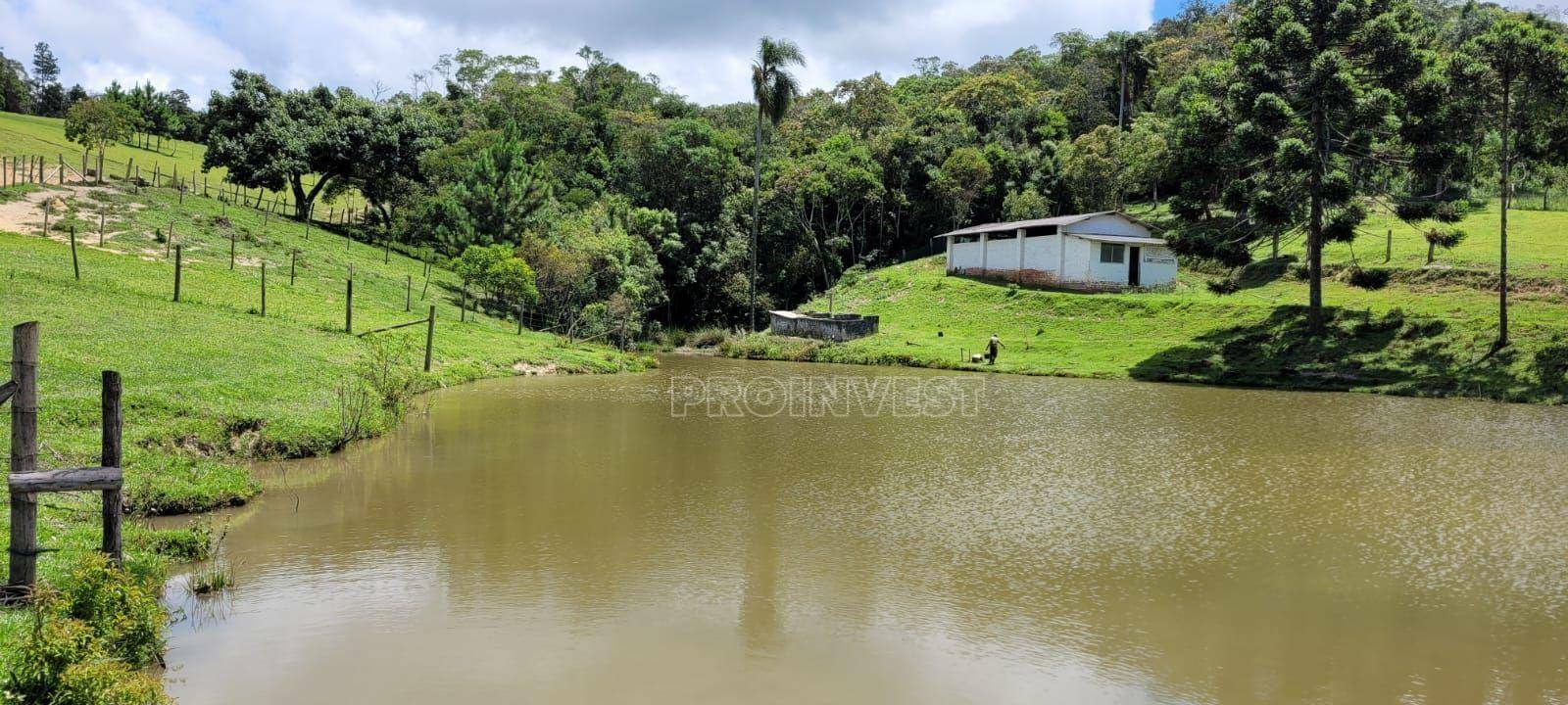 Sítio à venda com 3 quartos, 110m² - Foto 67