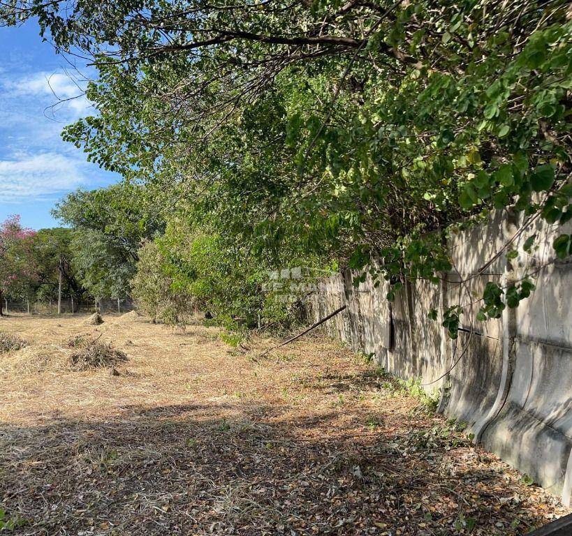 Terreno, 2047 m² - Foto 5