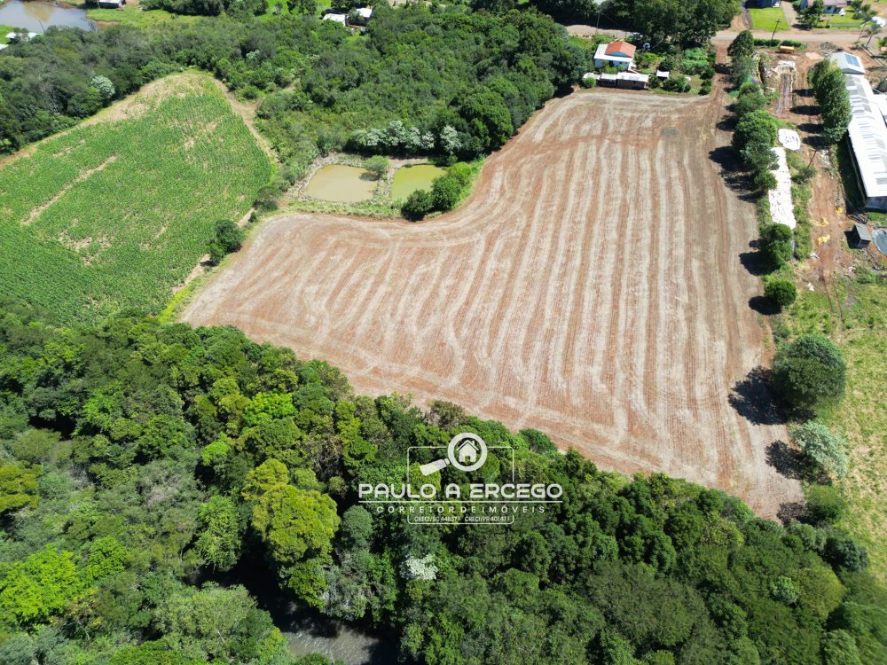 Chácara, 3 quartos, 3 hectares - Foto 3