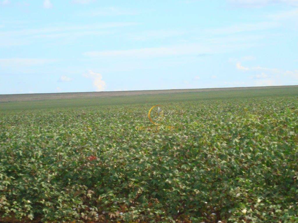 Fazenda à venda com 3 quartos, 159120000M2 - Foto 9