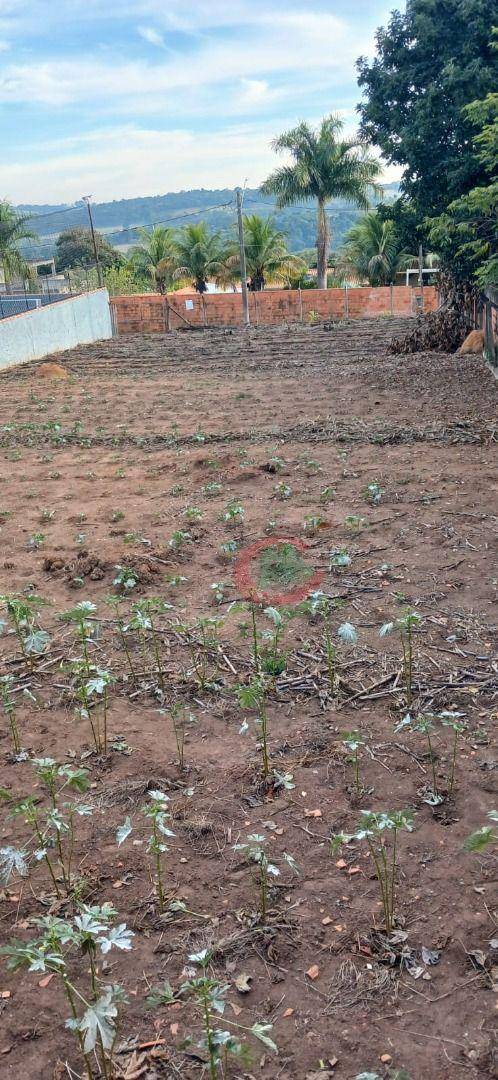 Terreno, 1000 m² - Foto 1