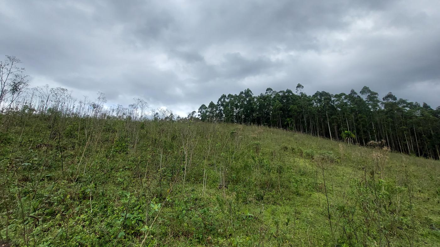 Fazenda à venda, 100000m² - Foto 18