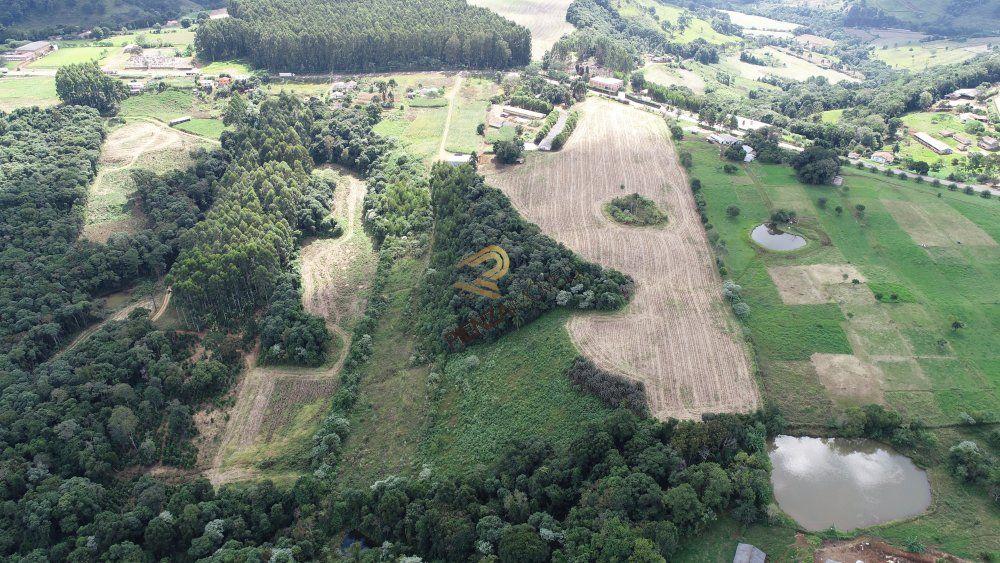 Terreno à venda, 36650m² - Foto 5