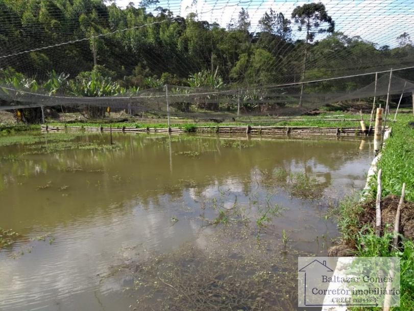 Fazenda à venda com 3 quartos, 150000m² - Foto 3