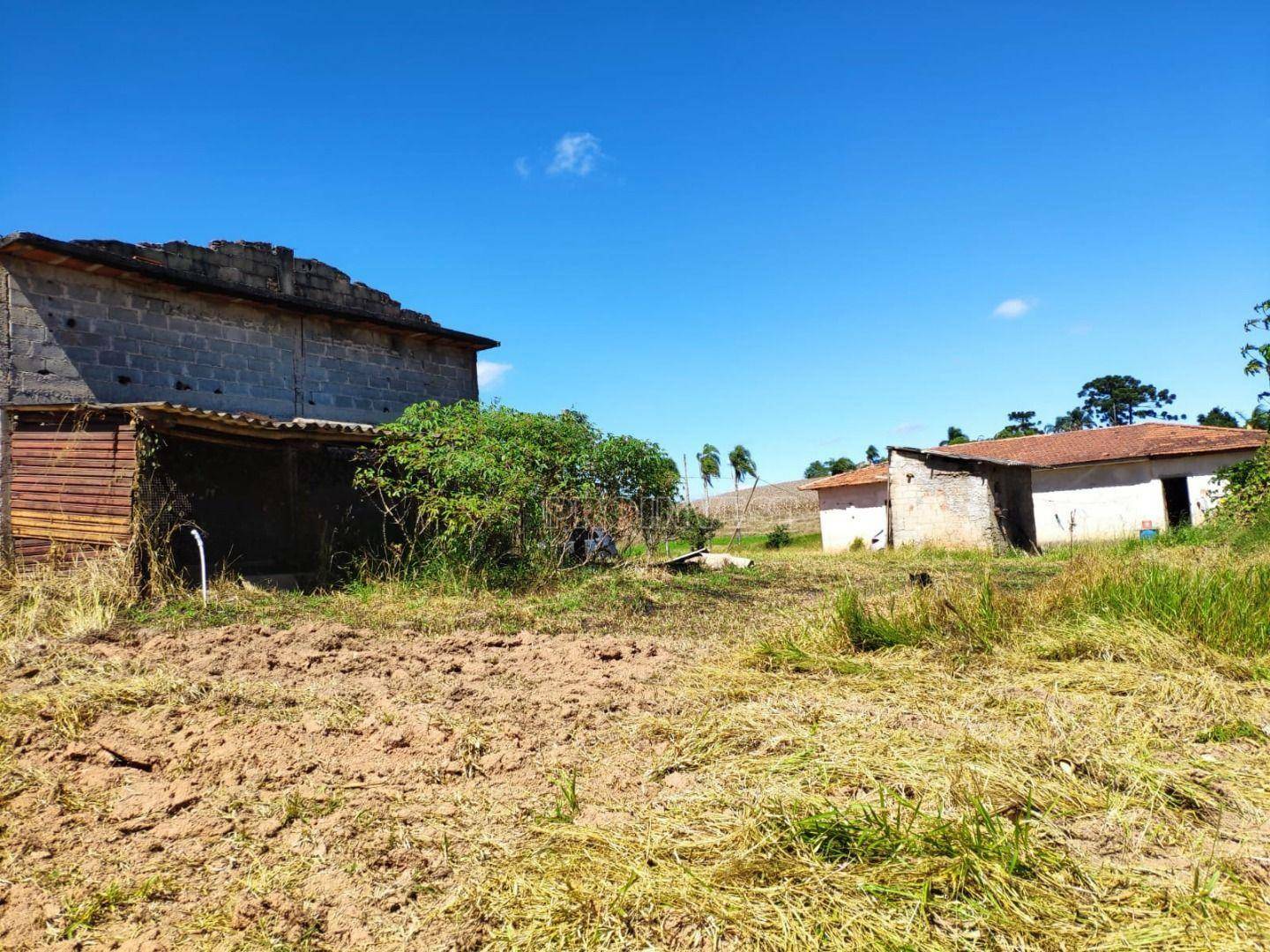 Sítio à venda com 4 quartos, 200m² - Foto 8