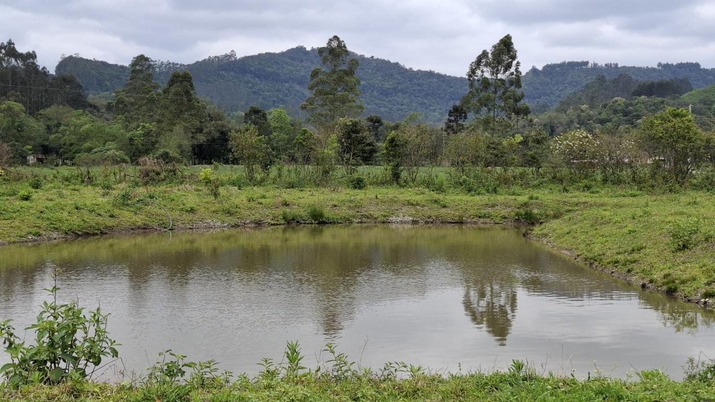 Fazenda à venda com 1 quarto, 10000m² - Foto 26