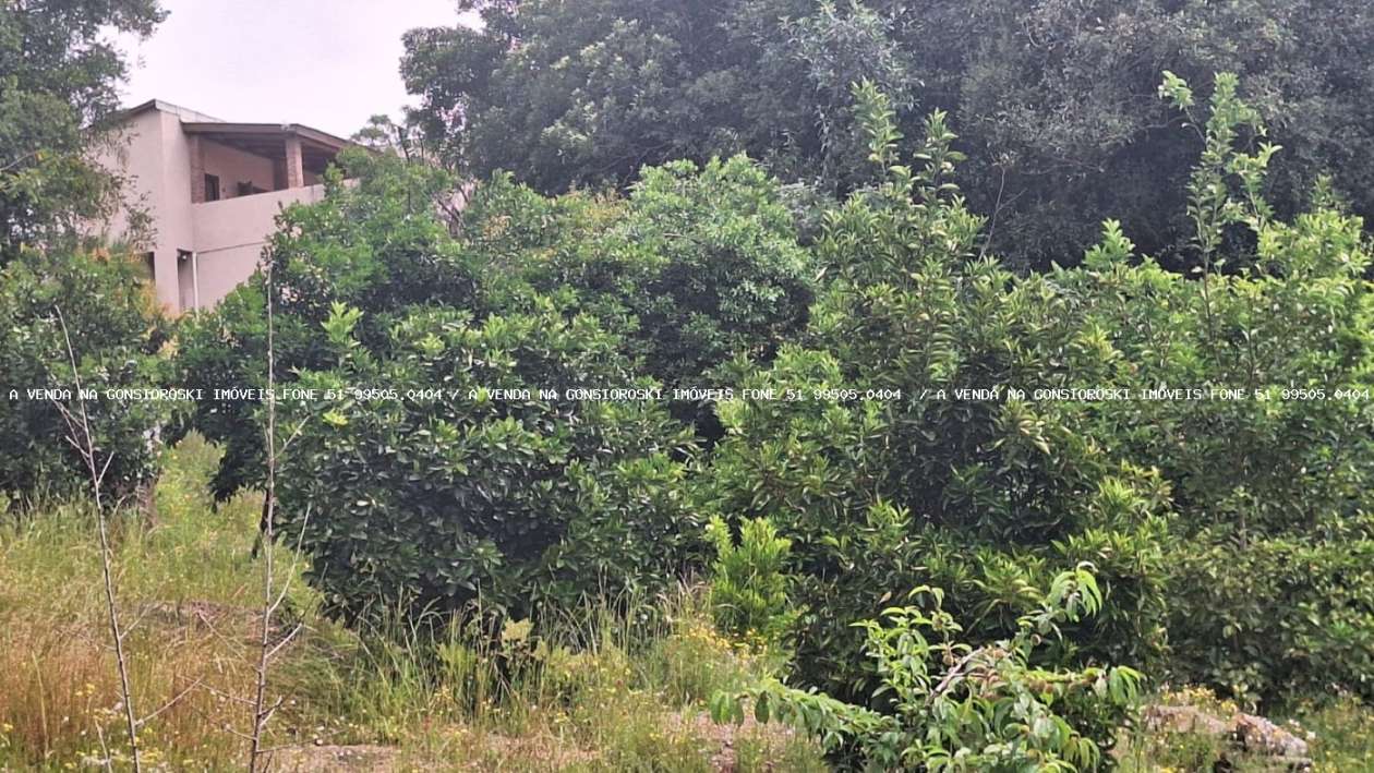 Sítio, 4 quartos, 3 hectares - Foto 4