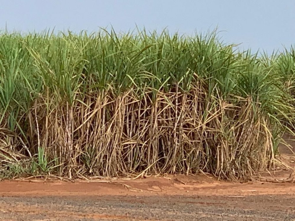 Fazenda à venda, 220m² - Foto 6