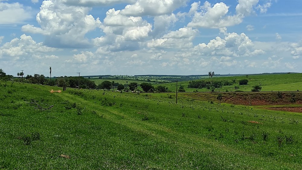 Fazenda à venda, 13m² - Foto 6