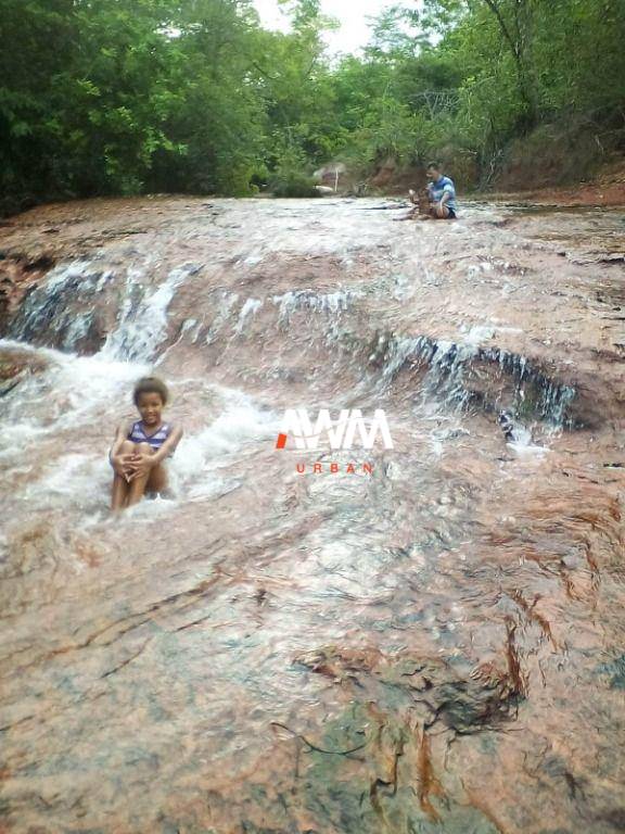 Fazenda, 600 hectares - Foto 10