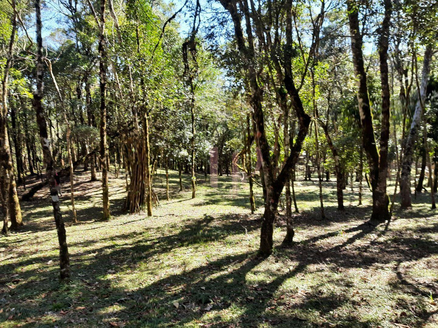 Terreno à venda, 7000M2 - Foto 17