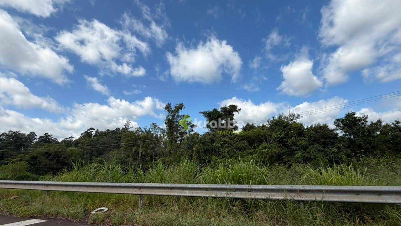 Terreno, 2 hectares - Foto 2