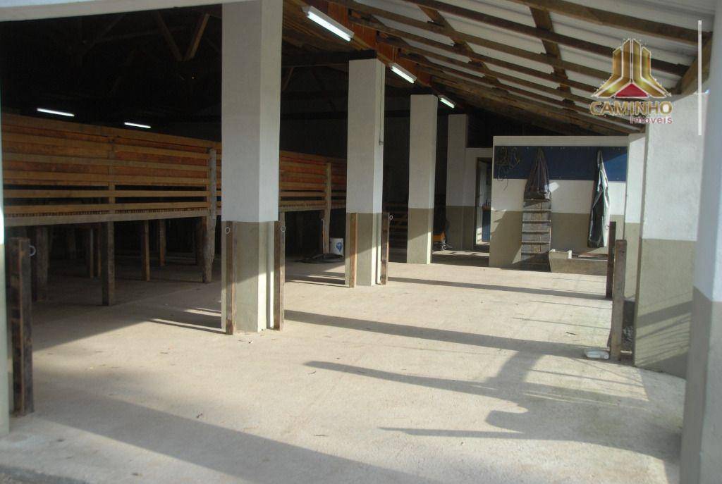 Fazenda à venda com 5 quartos, 33455000M2 - Foto 64