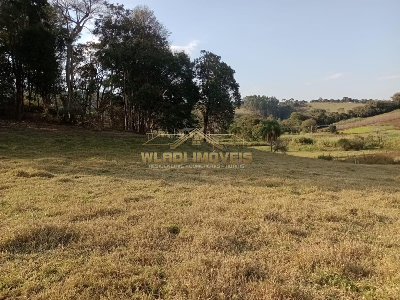 Fazenda à venda com 2 quartos, 4m² - Foto 4