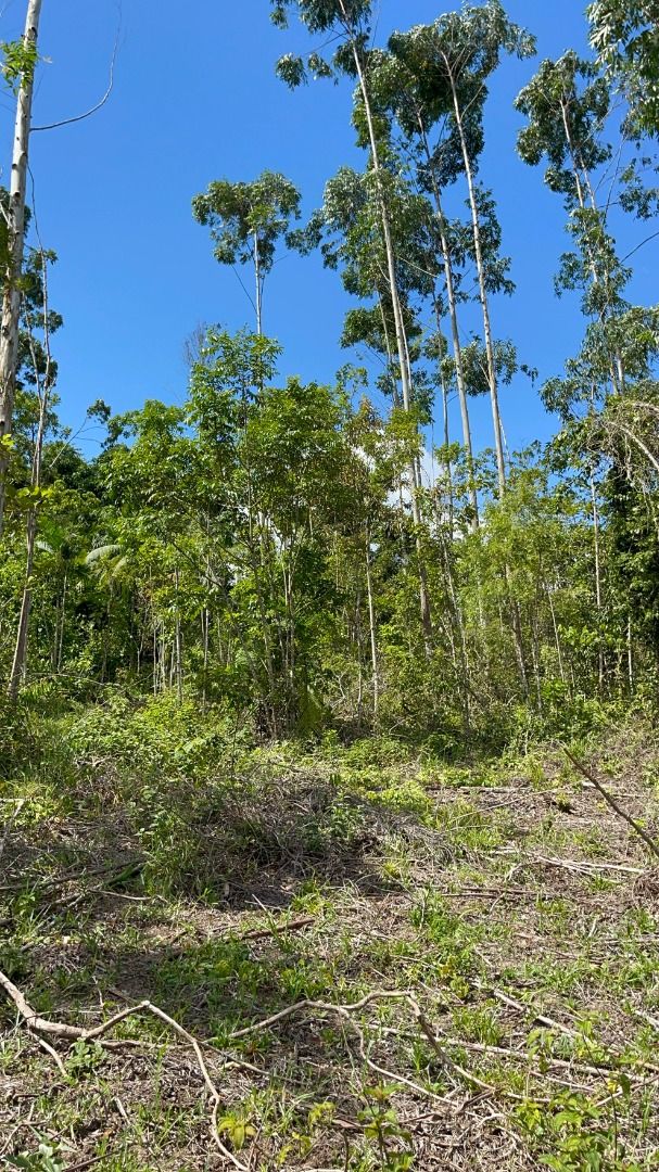 Terreno à venda, 55000M2 - Foto 4