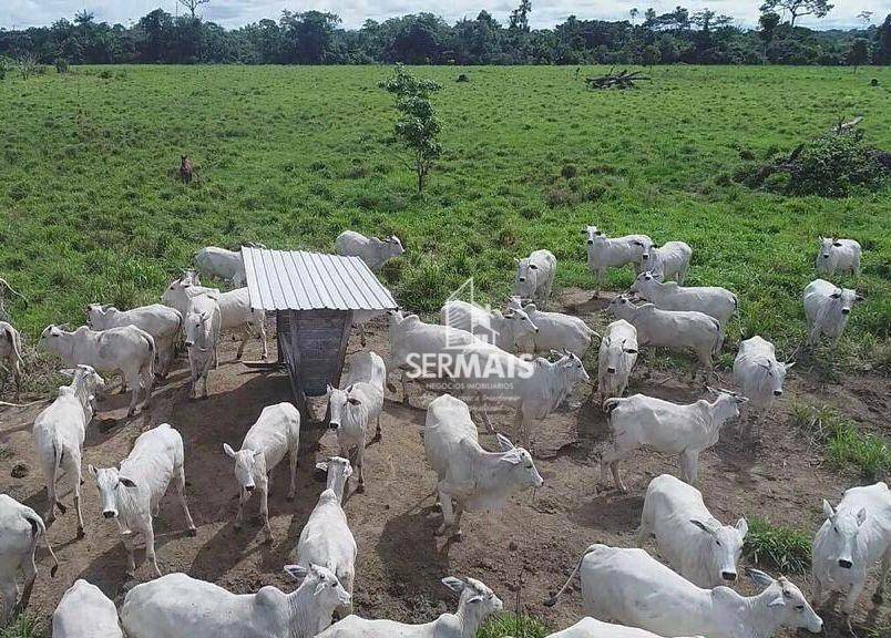 Fazenda à venda, 61000000M2 - Foto 3