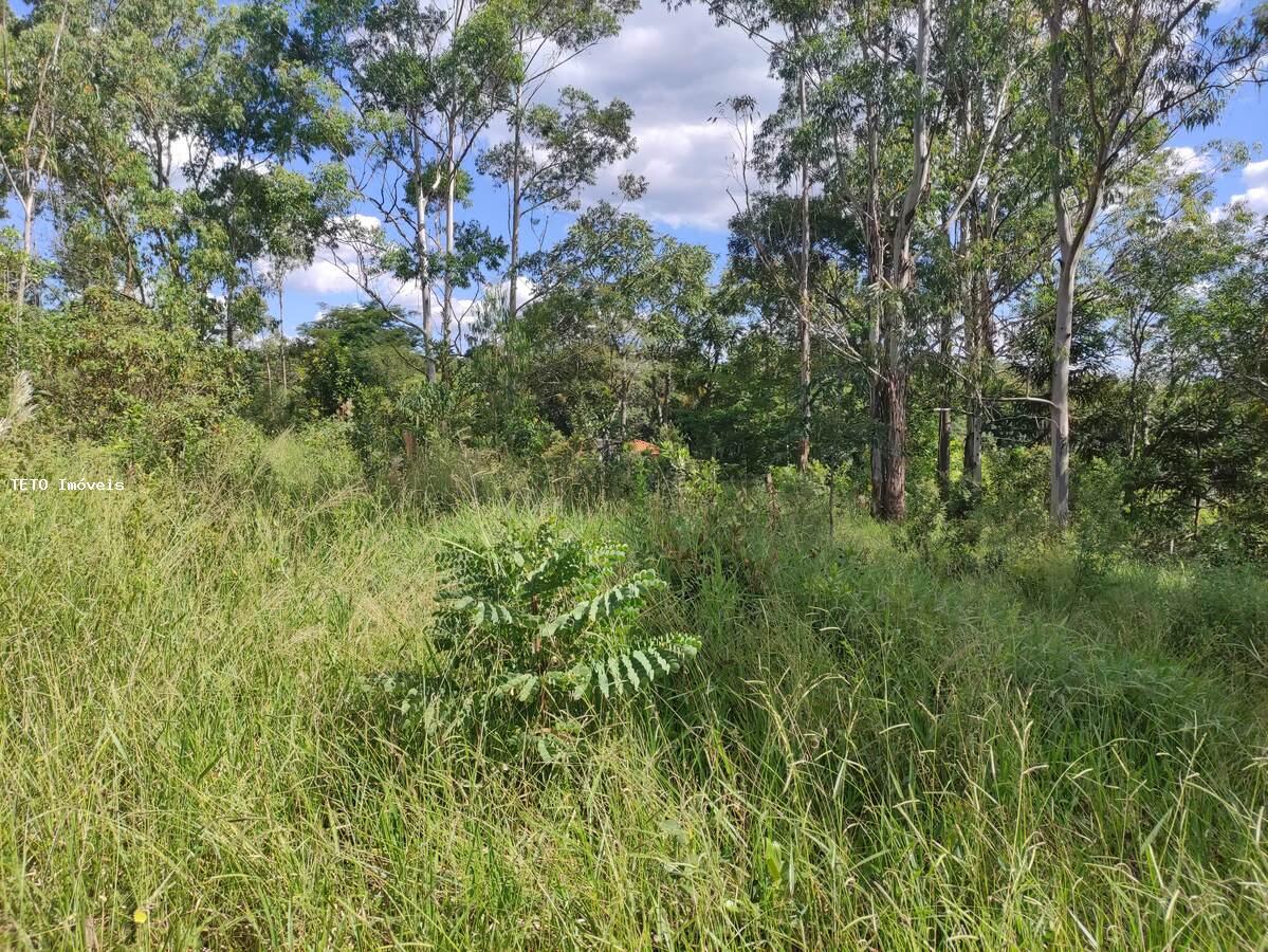 Terreno à venda, 2000m² - Foto 3