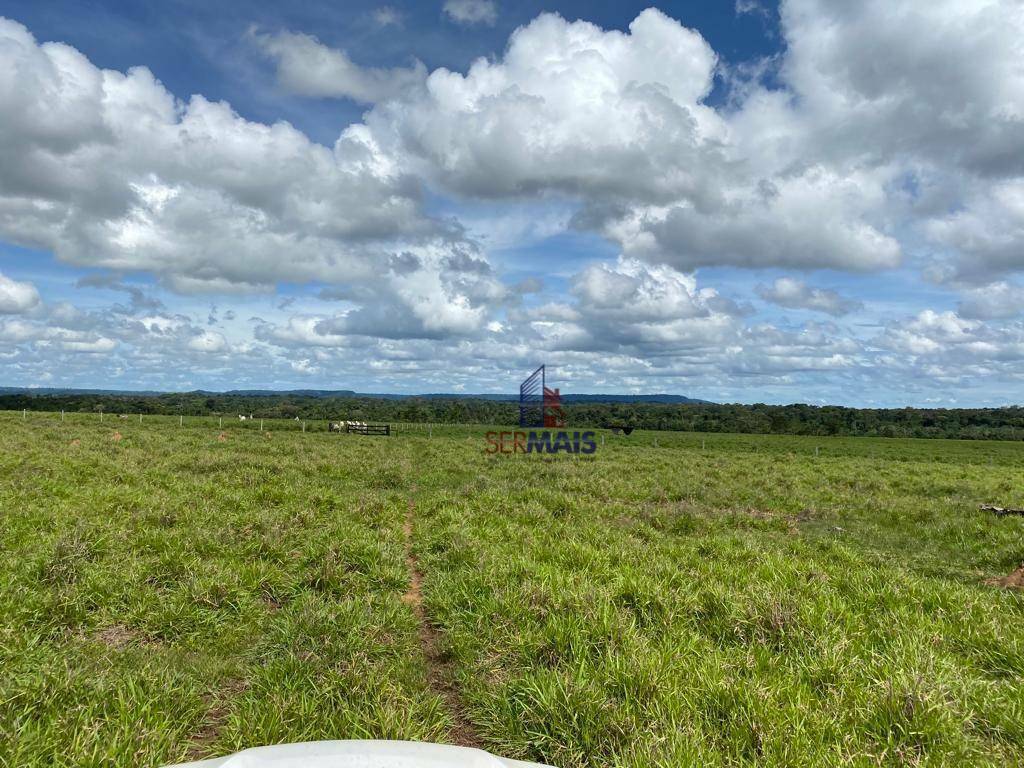 Fazenda à venda com 1 quarto, 2541000M2 - Foto 6