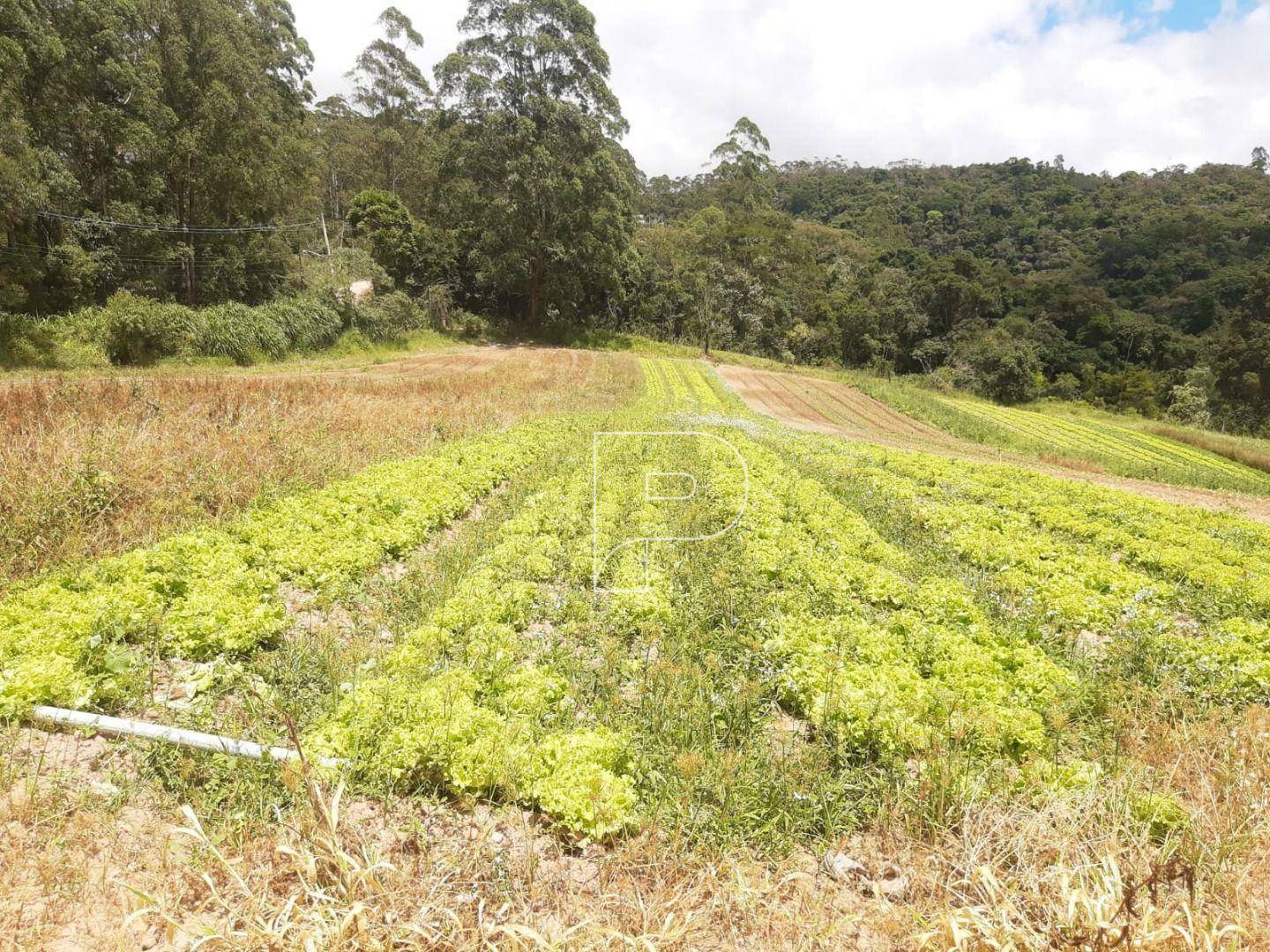 Terreno à venda, 39000M2 - Foto 20