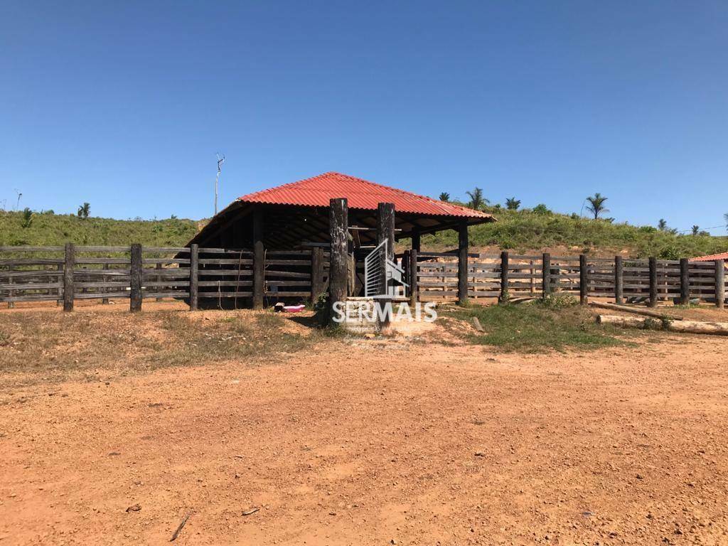 Fazenda-Sítio-Chácara, 600 hectares - Foto 3