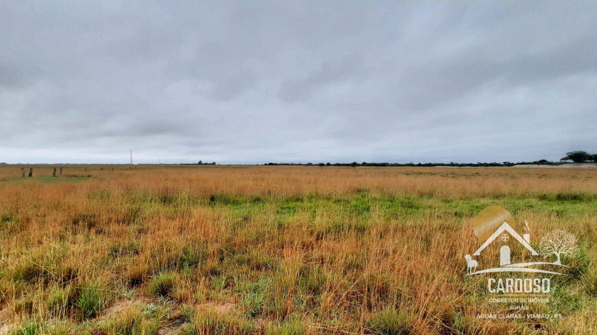 Fazenda à venda, 1830000M2 - Foto 6