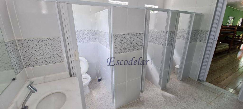 Sítio à venda com 3 quartos, 217800M2 - Foto 56