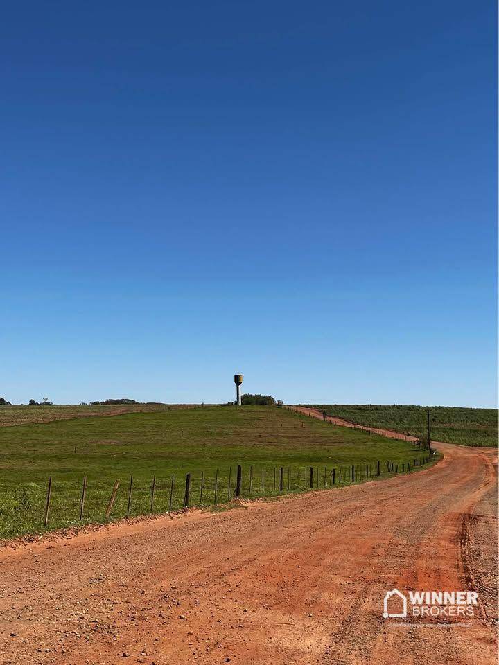 Chácara, 3000 m² - Foto 5