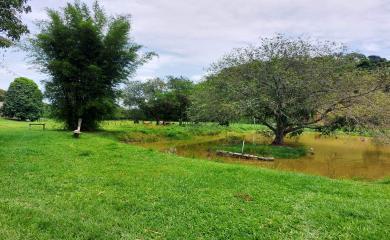 Fazenda à venda com 3 quartos, 17000m² - Foto 12