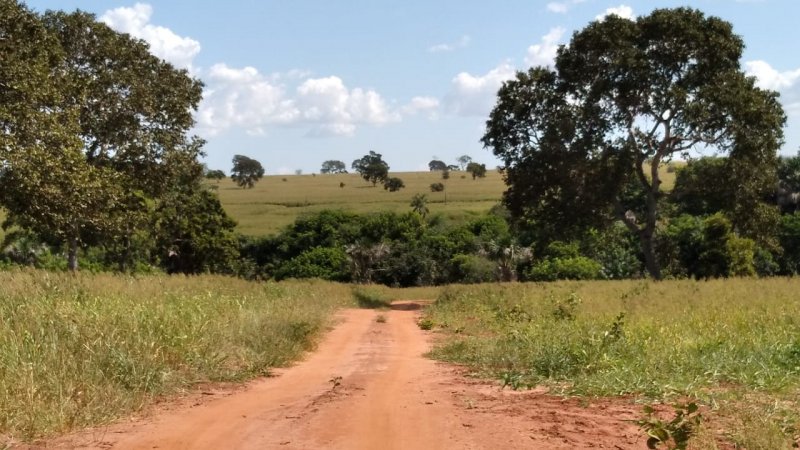 Fazenda à venda, 41m² - Foto 5