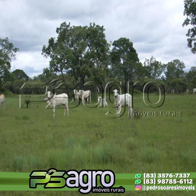 Fazenda-Sítio-Chácara, 83848 hectares - Foto 2