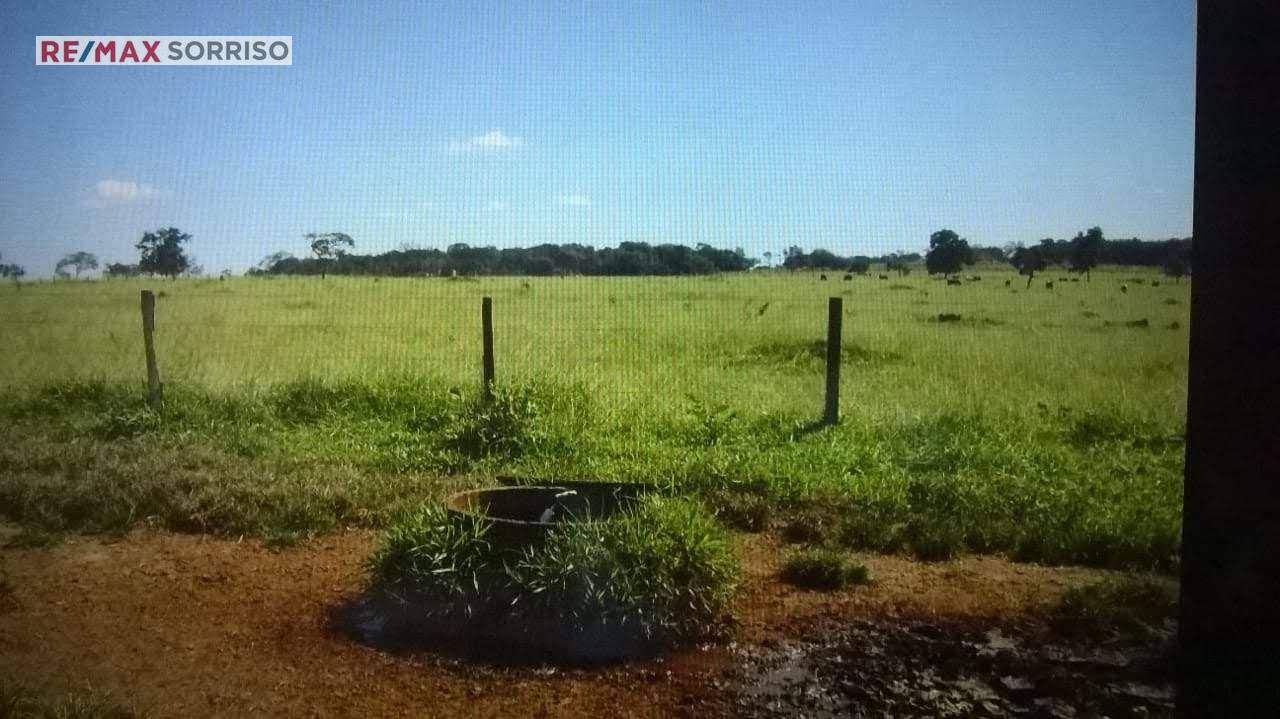 Fazenda à venda com 4 quartos, 242000M2 - Foto 7